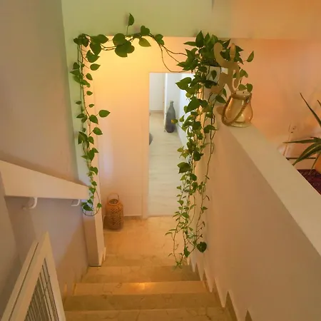 Duplex In Apartment Estepona